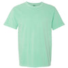 Comfort Colors 1717 - Other Colors 2 - Island Reef