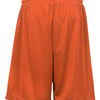 Badger 2107 - Burnt Orange Back