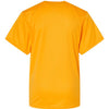 Badger 2120 - Yellows & Oranges - Gold Back
