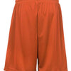 Badger 4107 - Yellows & Oranges - Burnt Orange Back
