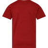 LAT 6101 - Other Colors 1 - Garnet Back