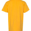 LAT 6101 - Yellows & Oranges - Gold Back