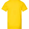 LAT 6101 - Yellows & Oranges - Yellow Back
