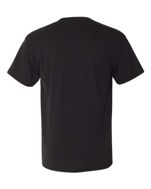 Hanes 42TB - Blacks & Grays - Solid Black Triblend Back