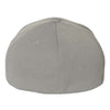 Flexfit 6597 - Silver Back
