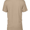 BELLA + CANVAS 3413 - Earth Tones - Tan Triblend Back