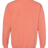Comfort Colors 1566 - Other Colors - Terracotta Back