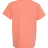 Comfort Colors 9018 - Other Colors - Terracotta Back