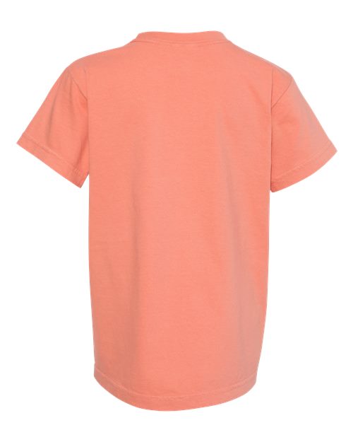 Comfort Colors 9018 - Other Colors - Terracotta Back