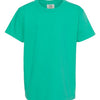 Comfort Colors 9018 - Other Colors - Island Green