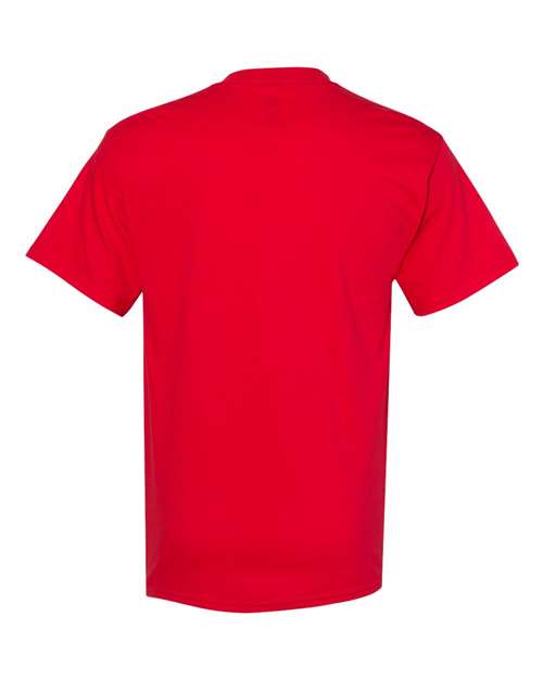 Hanes 5280 - Reds & Pinks - Athletic Red Back