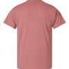 Hanes 42TB - Reds & Pinks - Mauve Heather Back