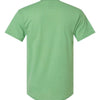 Hanes 42TB - Other Colors - True Green Heather Back