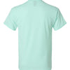 Hanes 42TB - Other Colors - Ice Fall Heather Back