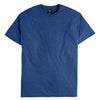 Hanes 42TB - Blues - Regal Navy Heather